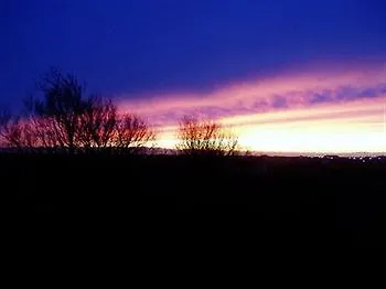 Foxcroft 4* Millom